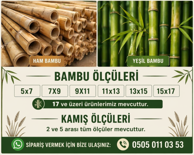 Ada Bambu